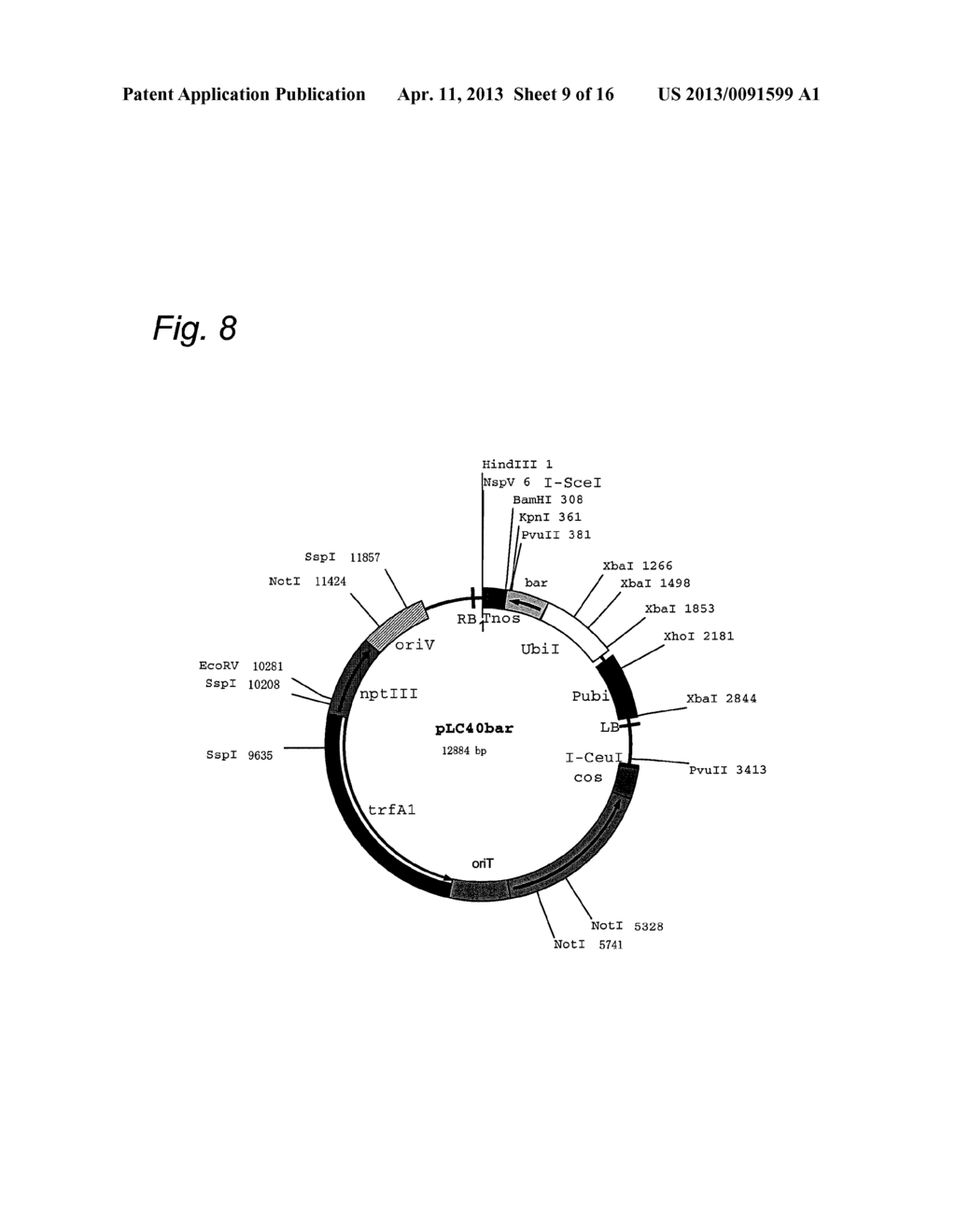 Cosmid Vector for Transforming Plant and Use Thereof - diagram, schematic, and image 10