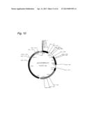 Cosmid Vector for Transforming Plant and Use Thereof diagram and image