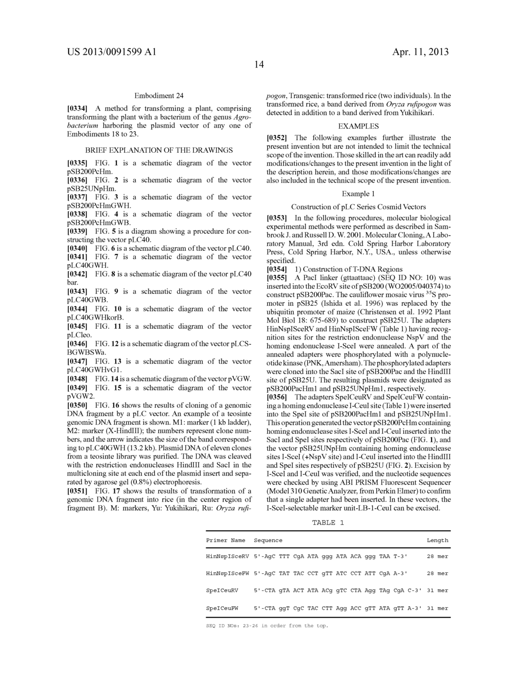 Cosmid Vector for Transforming Plant and Use Thereof - diagram, schematic, and image 31