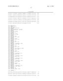 Cosmid Vector for Transforming Plant and Use Thereof diagram and image