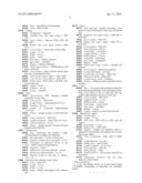 Verbena plant named  VEAZ0003  diagram and image