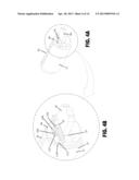 CYLINDER LOCK ASSEMBLY WITH NON-ROTATING ELEMENTS diagram and image