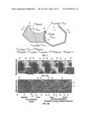 REDUCING VENTILATOR-INDUCED LUNG INJURY diagram and image