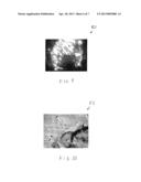 ELECTRICALLY CONDUCTIVE MATERIALS FORMED BY ELECTROPHORESIS diagram and image