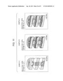 ELECTRONIC DEVICE AND METHOD FOR PRODUCING SAME diagram and image