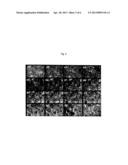 USE OF THERMOPLASTIC COMPOSITION COMPRISING POLYETHER-BLOCK COPOLYAMIDES     AS ADDITIVE diagram and image