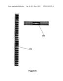 SYSTEM AND APPARATUS FOR INCREASING QUALITY AND EFFICIENCY OF FILM CAPTURE     AND METHODS OF USE THEREOF diagram and image