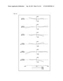 Zoom Lens System, Interchangeable Lens Apparatus and Camera System diagram and image