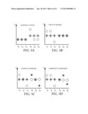 MASK PROCESSING USING FILMS WITH SPATIALLY SELECTIVE BIREFRINGENCE     REDUCTION diagram and image