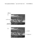 MOLD AND PROCESS FOR PRODUCTION OF MOLD diagram and image