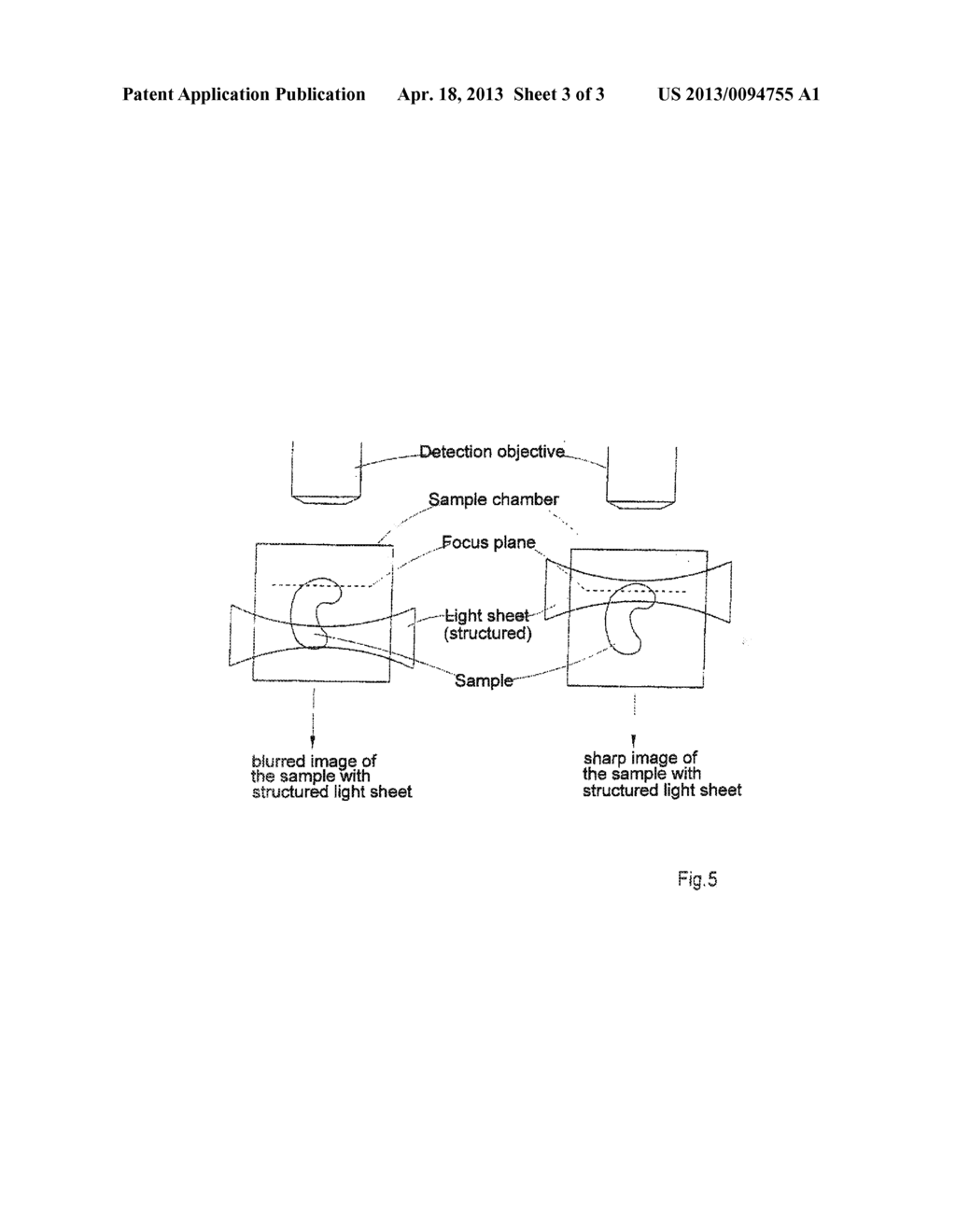 METHOD FOR THE MICROSCOPIC THREE-DIMENSIONAL REPRODUCTION OF A SAMPLE - diagram, schematic, and image 04