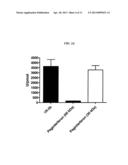 Multivalent Antibody Complexes Targeting IGF-1R Show Potent Toxicity     Against Solid Tumors diagram and image