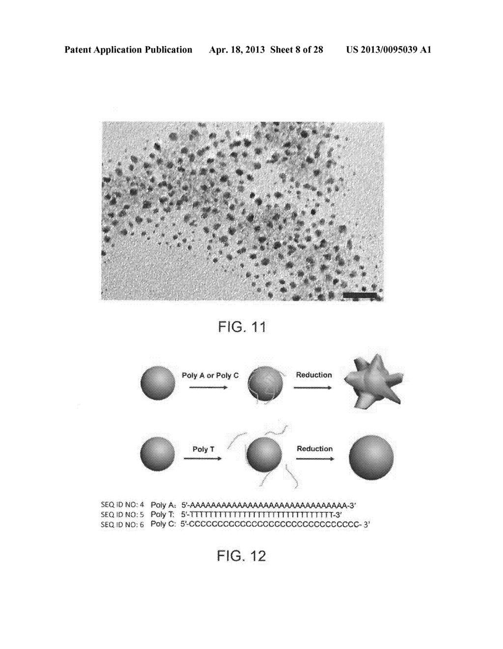 NUCLEIC ACID-MEDIATED SHAPE CONTROL OF NANOPARTICLES - diagram, schematic, and image 09