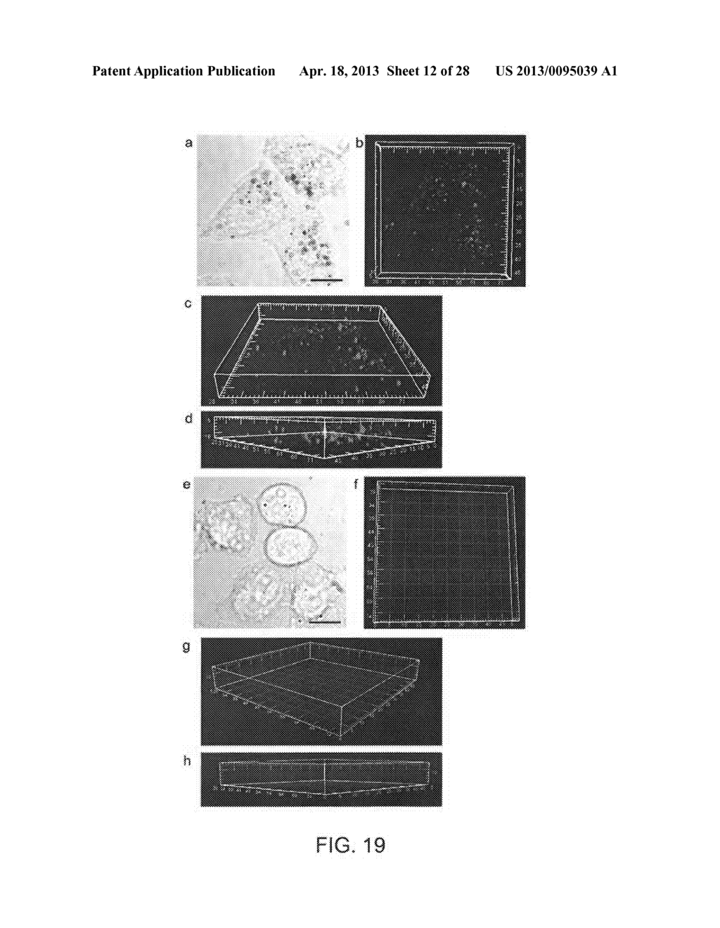 NUCLEIC ACID-MEDIATED SHAPE CONTROL OF NANOPARTICLES - diagram, schematic, and image 13