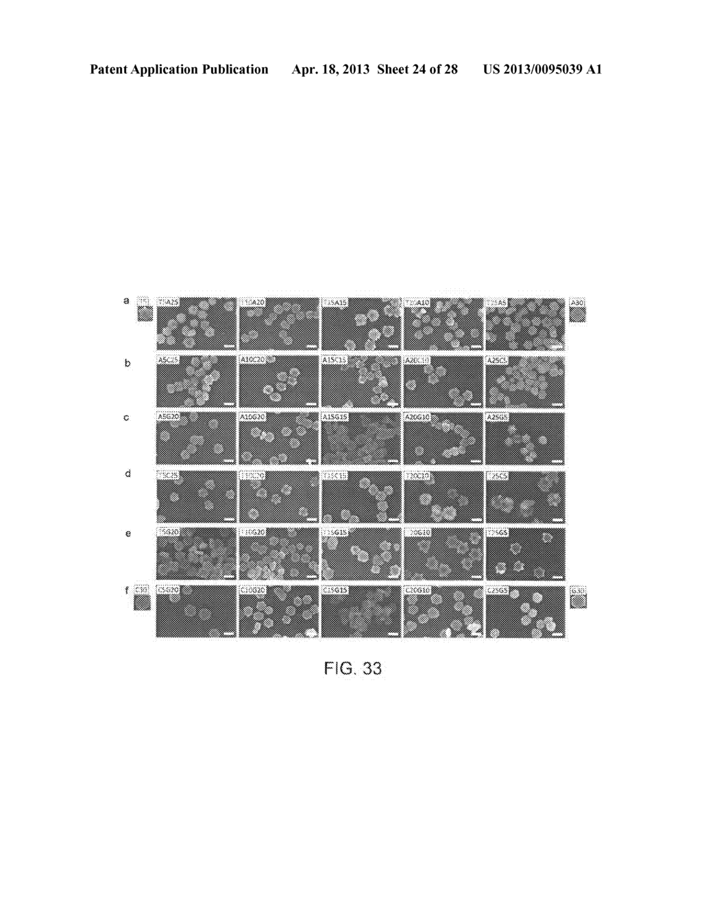 NUCLEIC ACID-MEDIATED SHAPE CONTROL OF NANOPARTICLES - diagram, schematic, and image 25