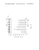 INHALED NO DONOR KMUPS DERIVATIVE PREVENTING ALLERGIC PULMONARY VASCULAR     AND BRONCHIAL INFLAMMATION VIA SUPPRESSED CYTOKINES, INOS AND     INFLAMMATORY CELL COUNTS IN ASTHMA MODEL diagram and image