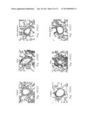 INHALED NO DONOR KMUPS DERIVATIVE PREVENTING ALLERGIC PULMONARY VASCULAR     AND BRONCHIAL INFLAMMATION VIA SUPPRESSED CYTOKINES, INOS AND     INFLAMMATORY CELL COUNTS IN ASTHMA MODEL diagram and image