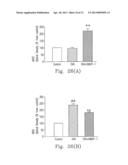 INHALED NO DONOR KMUPS DERIVATIVE PREVENTING ALLERGIC PULMONARY VASCULAR     AND BRONCHIAL INFLAMMATION VIA SUPPRESSED CYTOKINES, INOS AND     INFLAMMATORY CELL COUNTS IN ASTHMA MODEL diagram and image