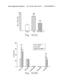 INHALED NO DONOR KMUPS DERIVATIVE PREVENTING ALLERGIC PULMONARY VASCULAR     AND BRONCHIAL INFLAMMATION VIA SUPPRESSED CYTOKINES, INOS AND     INFLAMMATORY CELL COUNTS IN ASTHMA MODEL diagram and image