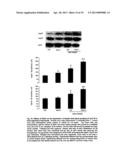 USE OF DES-ASPARTATE-ANGIOTENSIN I IN INFLAMMATION-RELATED PATHOLOGIES AND     DISEASES diagram and image