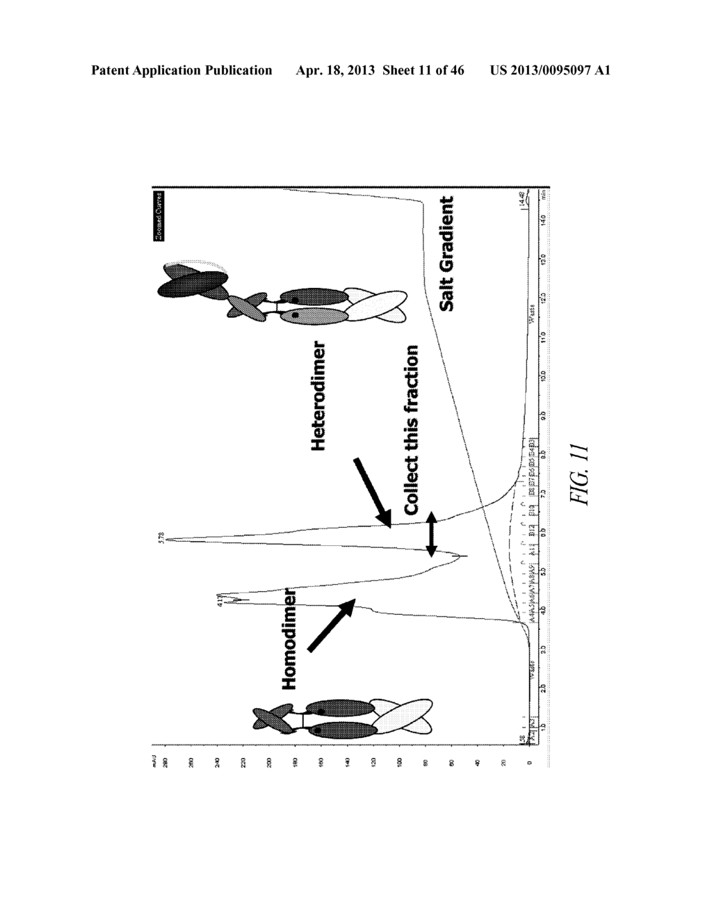 Polypeptide Heterodimers and Uses Thereof - diagram, schematic, and image 12