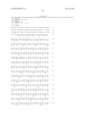 BIOMARKER SPECIFIC TO BRAIN/NERVE OR SPECIFIC TO NEURONAL DIFFERENTIATION diagram and image