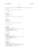 BIOMARKER SPECIFIC TO BRAIN/NERVE OR SPECIFIC TO NEURONAL DIFFERENTIATION diagram and image