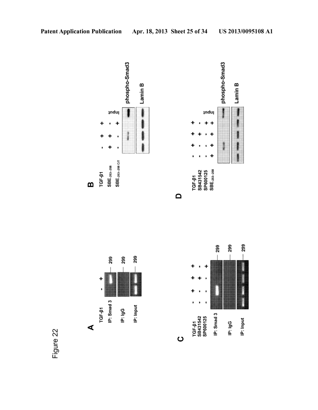 FACTOR XII INHIBITORS FOR TREATING INTERSTITIAL LUNG DISEASE - diagram, schematic, and image 26