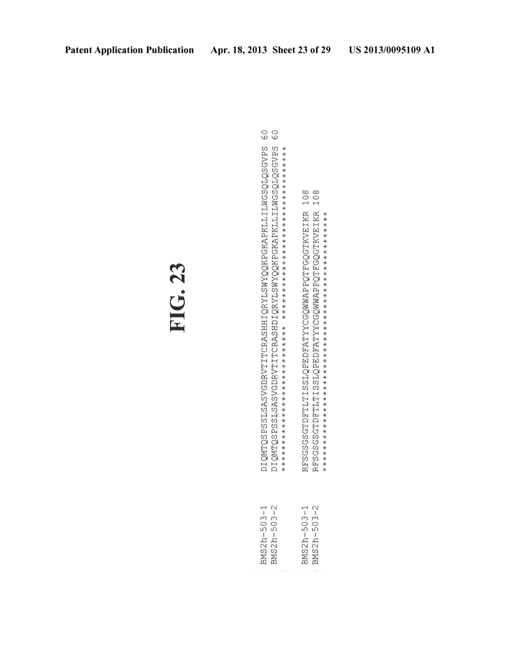 ANTIBODY POLYPEPTIDES THAT ANTAGONIZE CD40L - diagram, schematic, and image 24