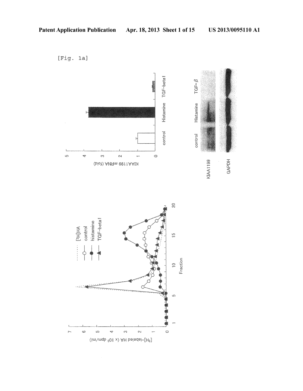 Hyaluronic Acid Decomposition-Promoting Factor and Inhibitor Thereof - diagram, schematic, and image 02