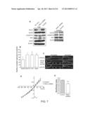 COMPOSITIONS AND METHODS FOR TREATING NEUROLOGICAL DISORDERS diagram and image