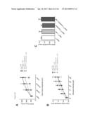 COMPOSITIONS AND METHODS FOR TREATING NEUROLOGICAL DISORDERS diagram and image