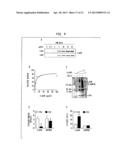 STAPHYLOCOCCUS AUREUS LEUKOCIDINS, THERAPEUTIC COMPOSITIONS, AND USES     THEREOF diagram and image