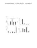 METHODS OF INHIBITING INFLAMMATION AND INFLAMMATORY DISEASES USING Gal-3BP     (BTBD17B, LGALS3BP, GALECTIN-3 BINDING PROTEIN, MAC-2 BINDING PROTEIN) diagram and image