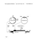 Tetravalent Dengue Vaccines diagram and image