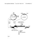 Tetravalent Dengue Vaccines diagram and image