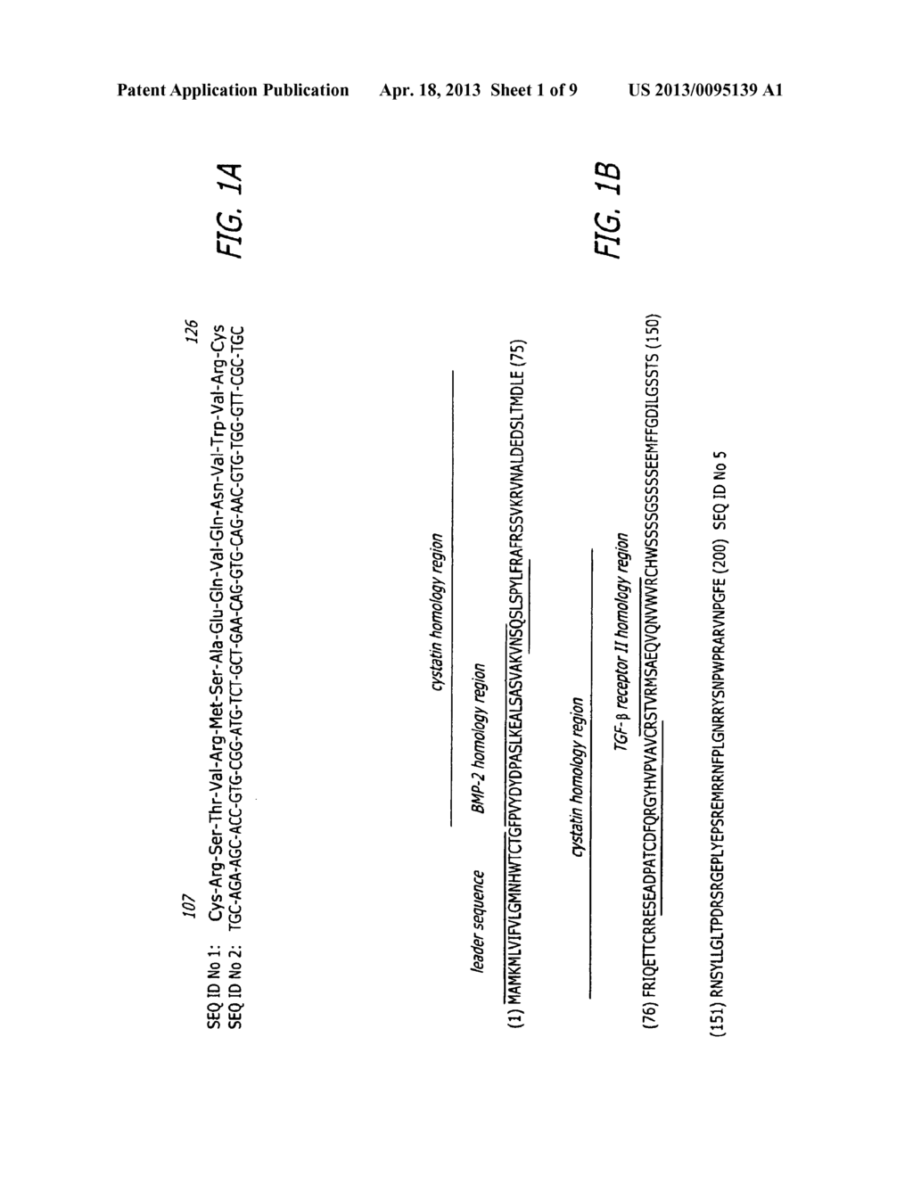 BONE MORPHOGENIC PROTEIN BINDING PEPTIDE - diagram, schematic, and image 02