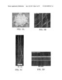 SOL-GEL DERIVED BIOACTIVE GLASS POLYMER COMPOSITE diagram and image