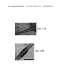 SOL-GEL DERIVED BIOACTIVE GLASS POLYMER COMPOSITE diagram and image