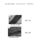 SOL-GEL DERIVED BIOACTIVE GLASS POLYMER COMPOSITE diagram and image