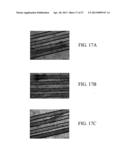 SOL-GEL DERIVED BIOACTIVE GLASS POLYMER COMPOSITE diagram and image