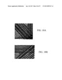 SOL-GEL DERIVED BIOACTIVE GLASS POLYMER COMPOSITE diagram and image