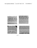 IMPACT AND EROSION RESISTANT THERMAL AND ENVIRONMENTAL BARRIER COATINGS diagram and image