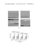 IMPACT AND EROSION RESISTANT THERMAL AND ENVIRONMENTAL BARRIER COATINGS diagram and image