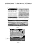 IMPACT AND EROSION RESISTANT THERMAL AND ENVIRONMENTAL BARRIER COATINGS diagram and image