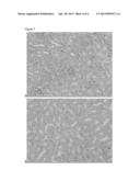 METHOD FOR DETERMINATION OF TARGET CELLS OR TISSUE FOR EXTRACTION OF     BIOMOLECULES FROM FIXED BIOLOGICAL SAMPLES diagram and image