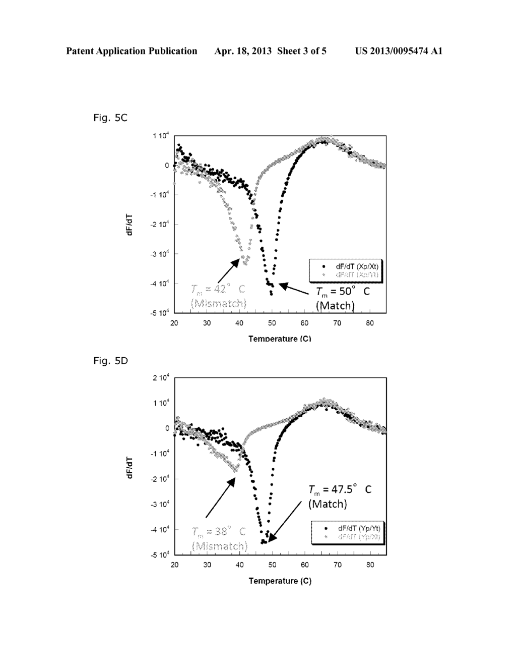 DESIGN OF STEM-LOOP PROBES AND UTILIZATION IN SNP GENOTYPING - diagram, schematic, and image 04