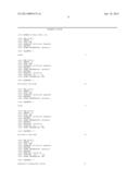 DESIGN OF STEM-LOOP PROBES AND UTILIZATION IN SNP GENOTYPING diagram and image