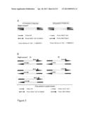 DETECTION OF QUANTITATIVE GENETIC DIFFERENCES diagram and image