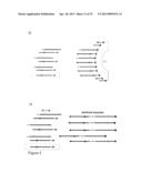 DETECTION OF QUANTITATIVE GENETIC DIFFERENCES diagram and image